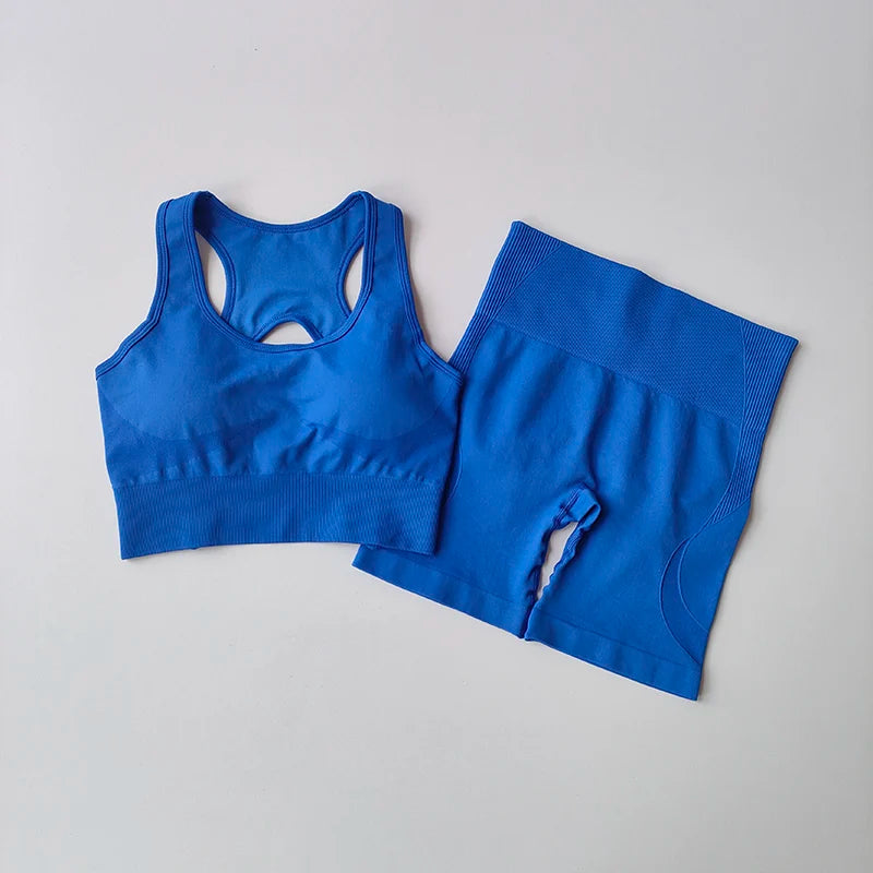 2-Piece Seamless Yoga Set