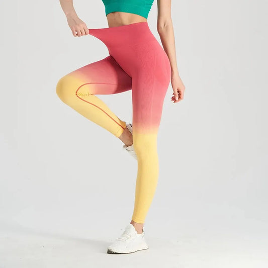 Gradient Fitness Pants